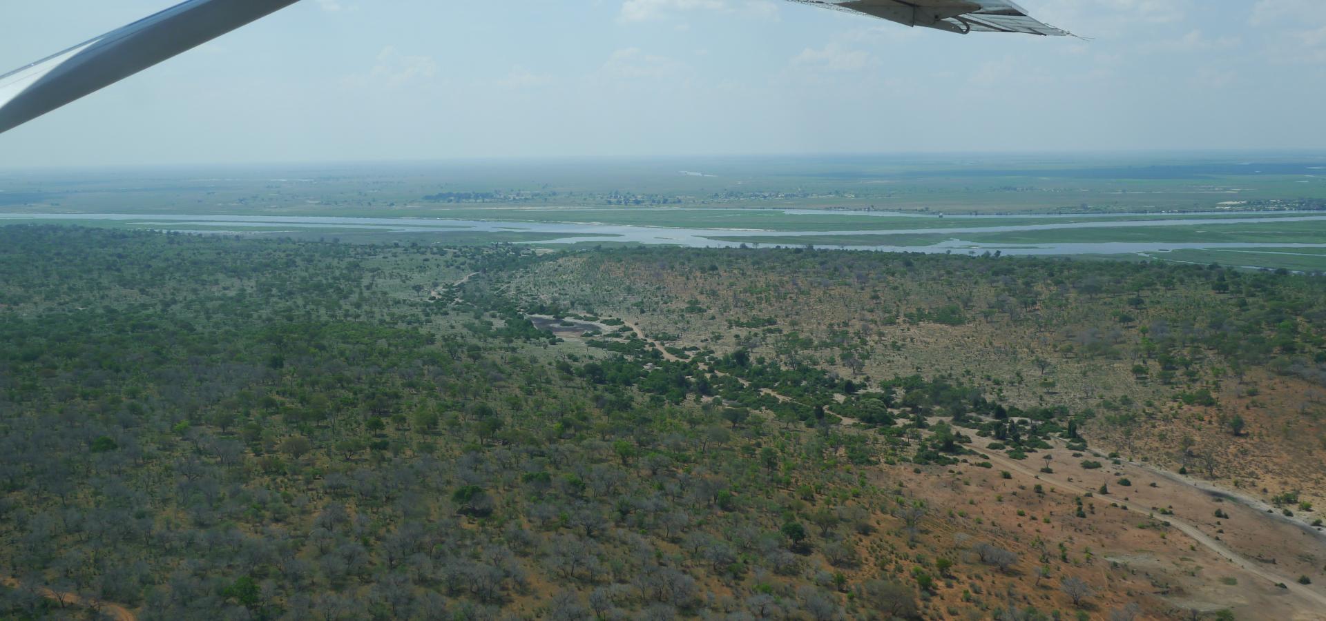 Erleben Sie die Naturschönheiten Botswanas aus der Vogelperspektive 